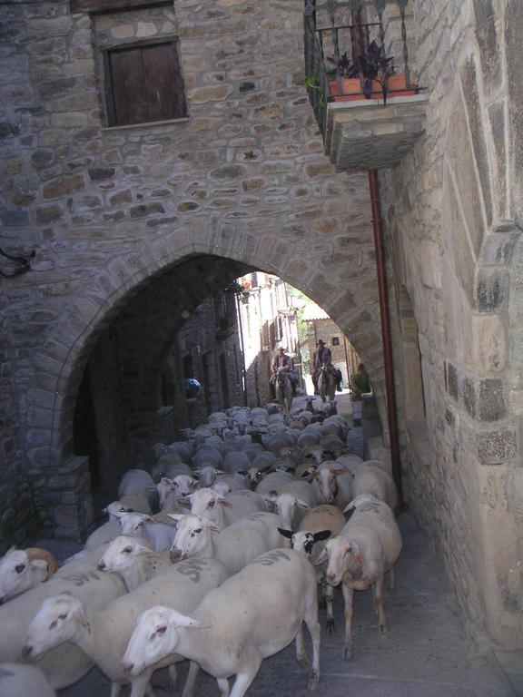 Ferienwohnung El Prau De Vidal I La Puebla de Roda Exterior foto